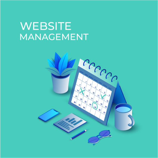 website management-09